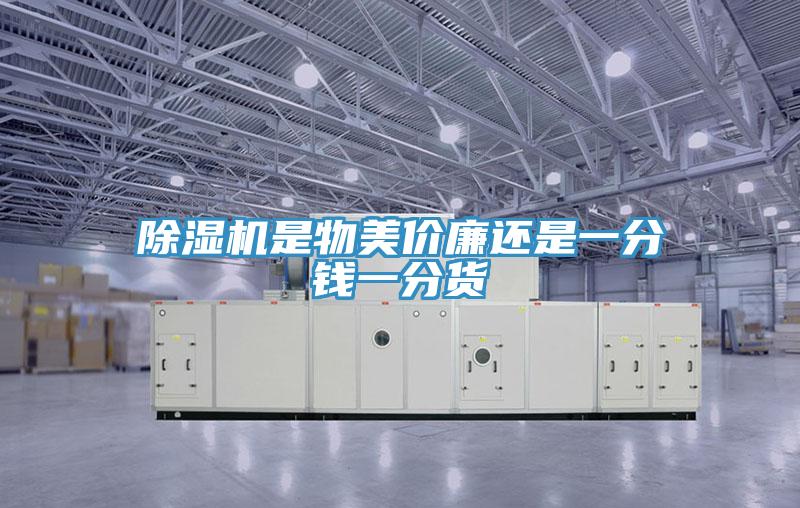 草莓污视频在线看是物美價廉還是一分錢一分貨