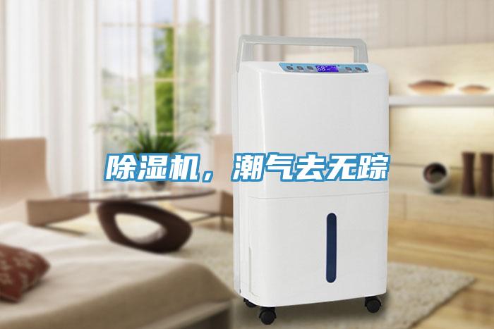 草莓污视频在线看，潮氣去無蹤