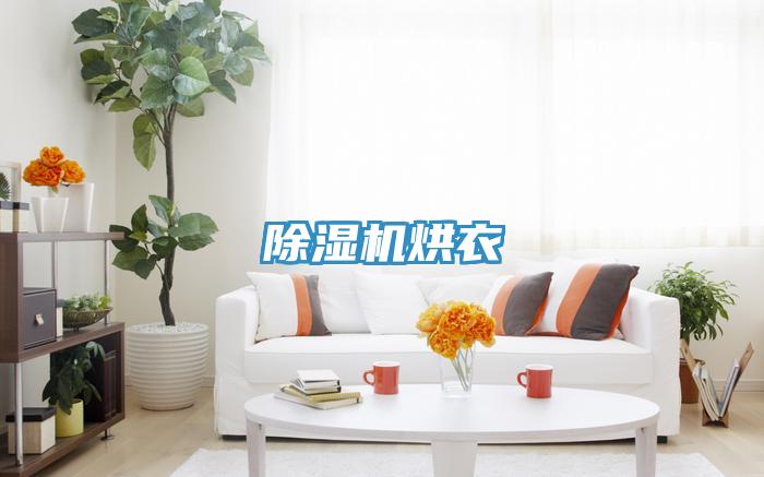 草莓污视频在线看烘衣