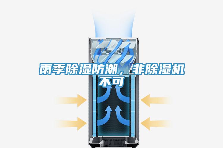 雨季除濕防潮，非草莓污视频在线看不可