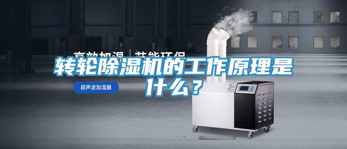 轉輪草莓污视频在线看的工作原理是什麽？