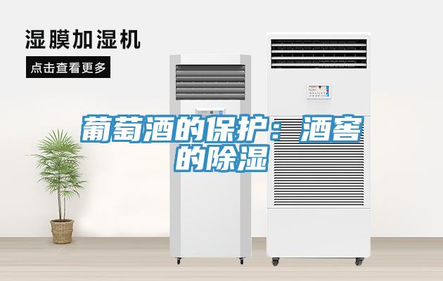 葡萄酒的保護：酒窖的除濕