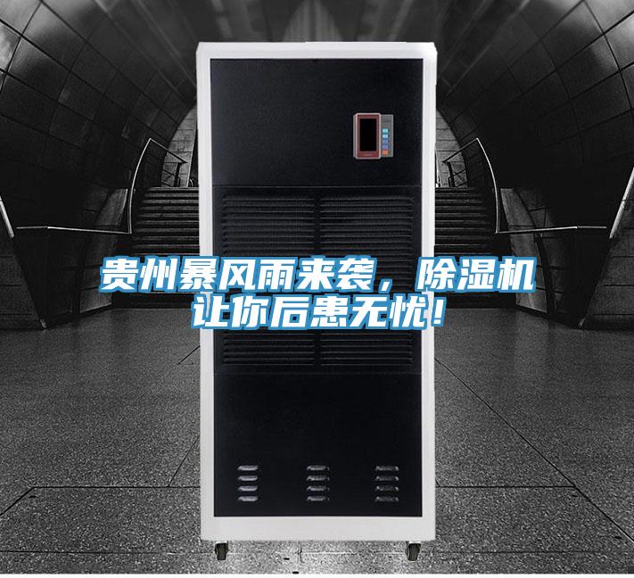 貴州暴風雨來襲，草莓污视频在线看讓你後患無憂！