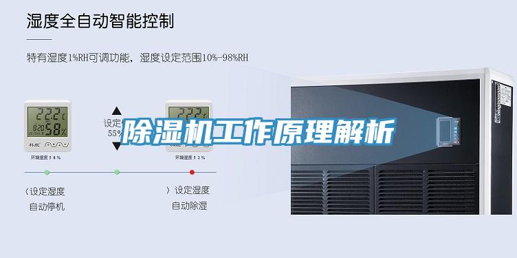 草莓污视频在线看工作原理解析