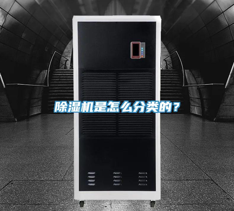 草莓污视频在线看是怎麽分類的？