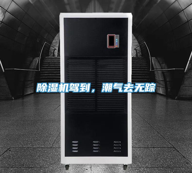 草莓污视频在线看駕到，潮氣去無蹤