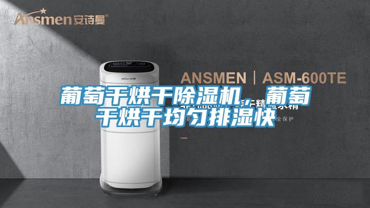 葡萄幹烘幹草莓污视频在线看，葡萄幹烘幹均勻排濕快