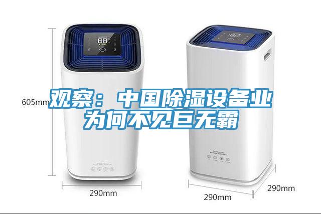 觀察：中國除濕設備業為何不見巨無霸