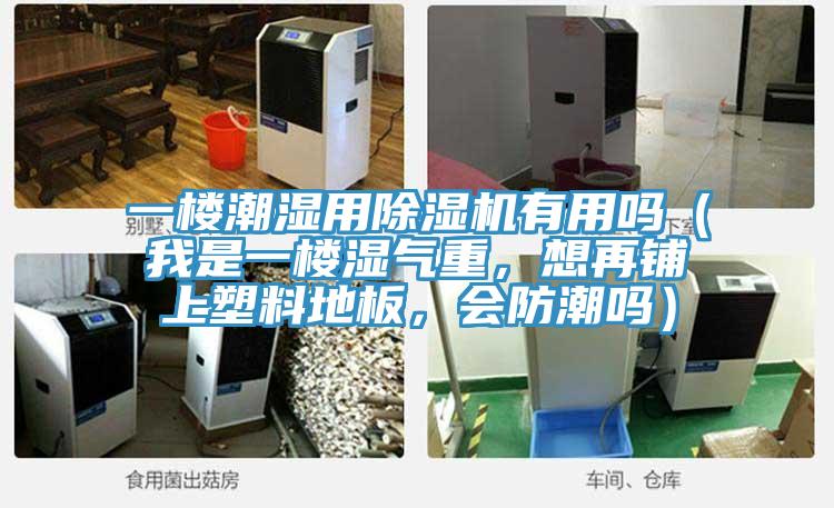 一樓潮濕用草莓污视频在线看有用嗎（我是一樓濕氣重，想再鋪上塑料地板，會防潮嗎）