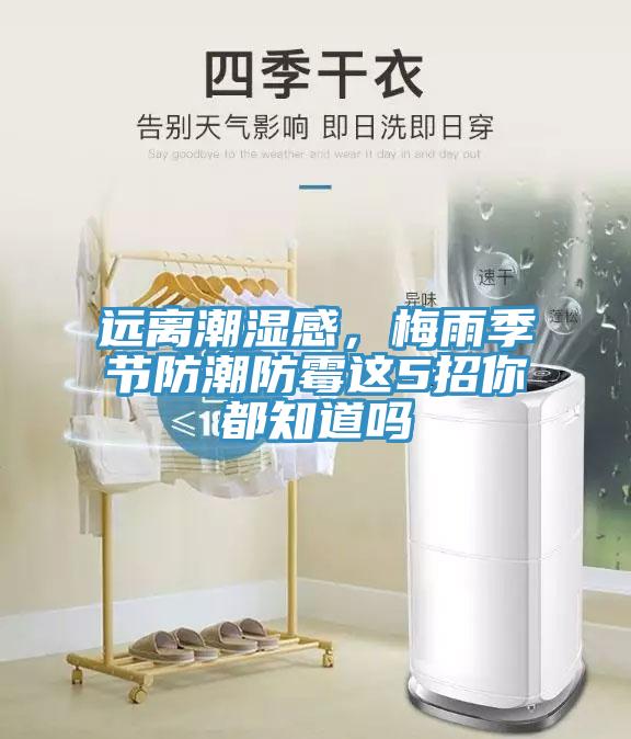 遠離潮濕感，梅雨季節防潮防黴這5招你都知道嗎