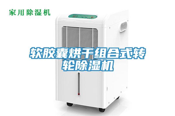 軟膠囊烘幹組合式轉輪草莓污视频在线看