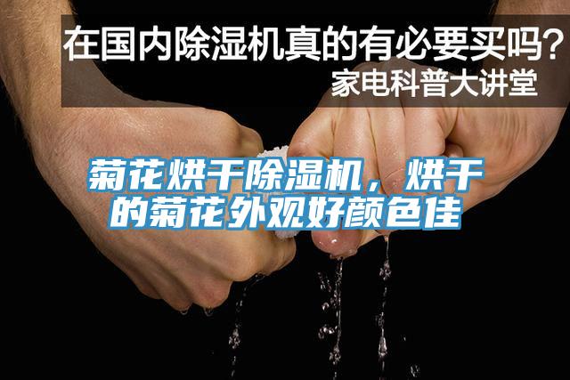 菊花烘幹草莓污视频在线看，烘幹的菊花外觀好顏色佳