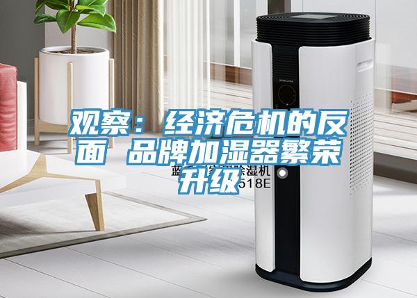 觀察：經濟危機的反麵 品牌加濕器繁榮升級