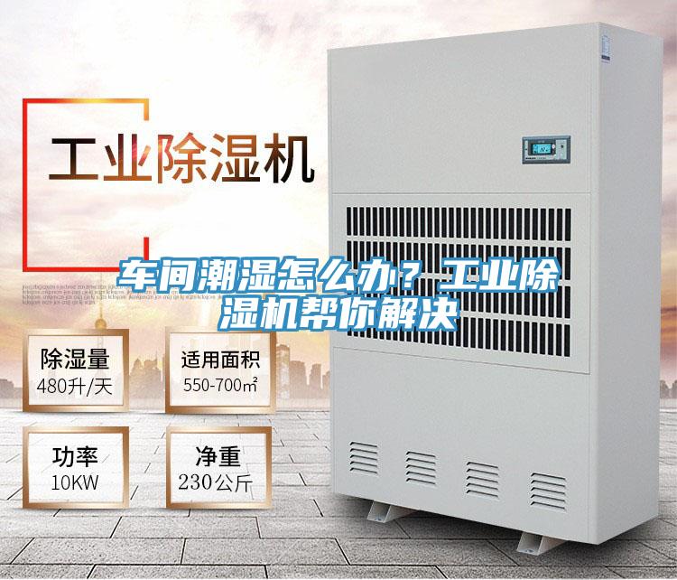 車間潮濕怎麽辦？工業草莓污视频在线看幫你解決
