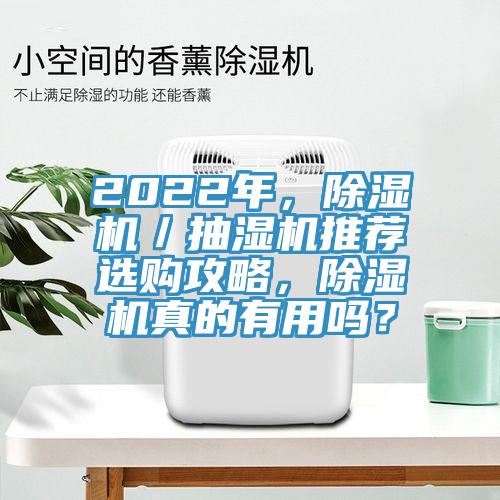 2022年，草莓污视频在线看／抽濕機推薦選購攻略，草莓污视频在线看真的有用嗎？