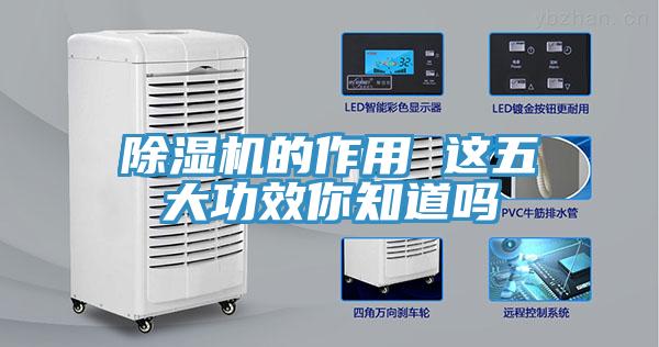 草莓污视频在线看的作用 這五大功效你知道嗎