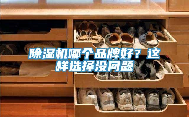 草莓污视频在线看哪個品牌好？這樣選擇沒問題