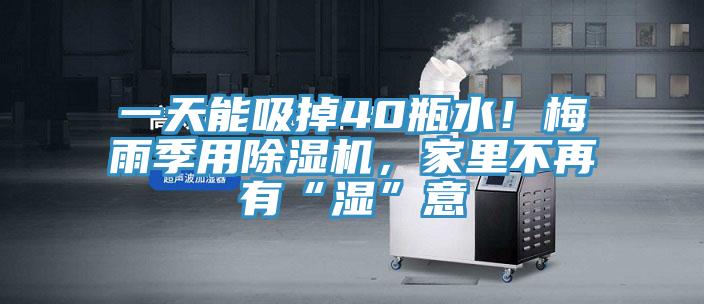 一天能吸掉40瓶水！梅雨季用草莓污视频在线看，家裏不再有“濕”意