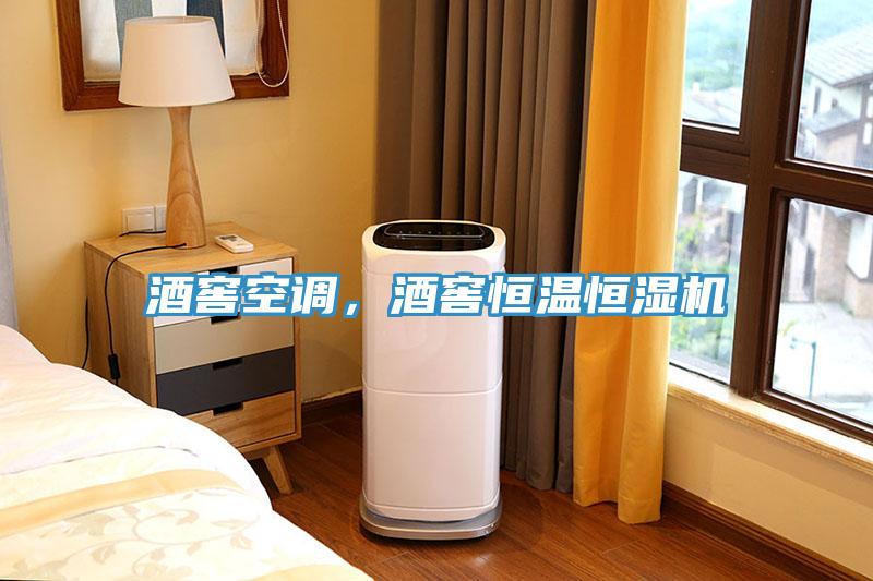 酒窖空調，酒窖恒溫恒濕機