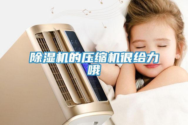 草莓污视频在线看的壓縮機很給力哦
