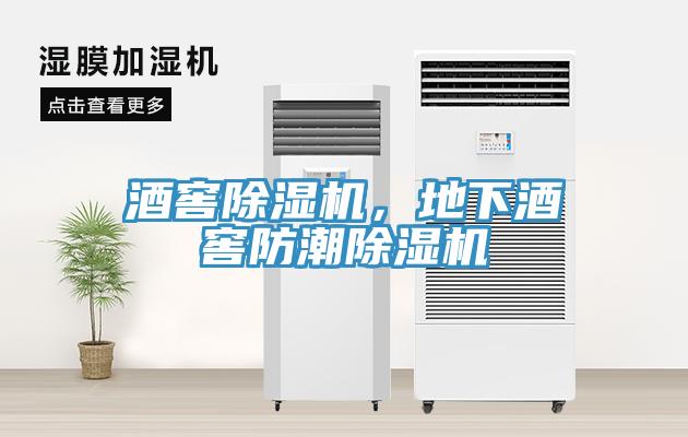 酒窖草莓污视频在线看，地下酒窖防潮草莓污视频在线看