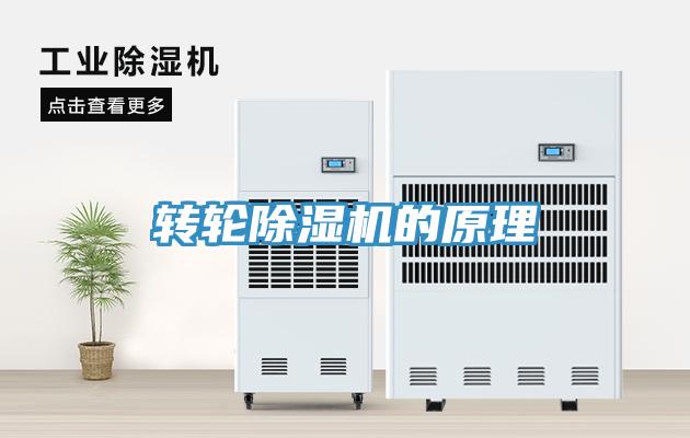 轉輪草莓污视频在线看的原理