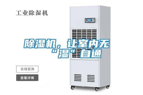 草莓污视频在线看，讓室內無“濕”自通