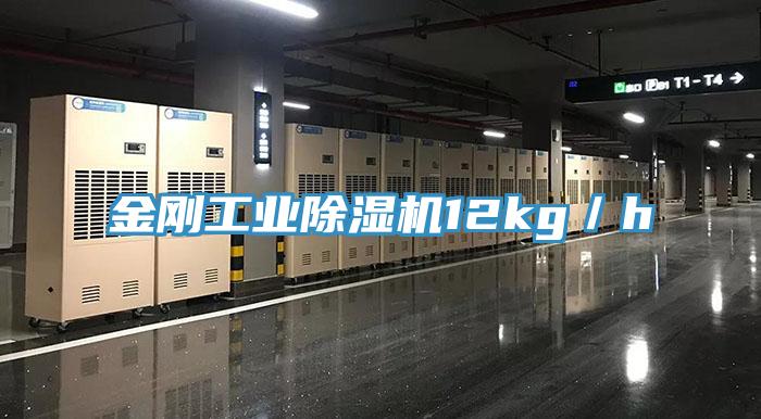 金剛工業草莓污视频在线看12kg／h