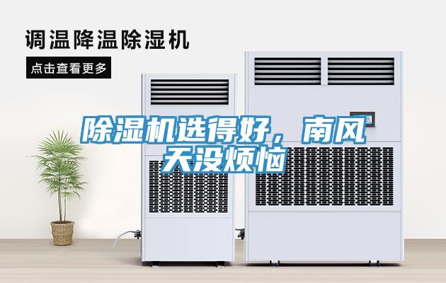 草莓污视频在线看選得好，南風天沒煩惱