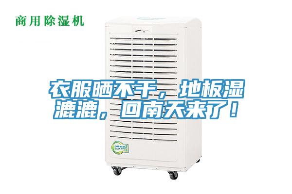 衣服曬不幹，地板濕漉漉，回南天來了！