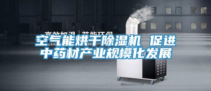 空氣能烘幹草莓污视频在线看 促進中藥材產業規模化發展