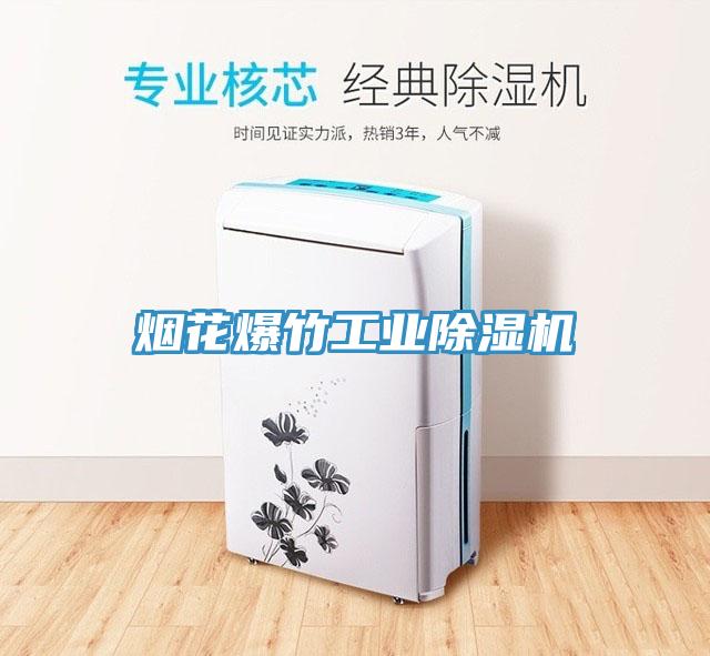 煙花爆竹工業草莓污视频在线看