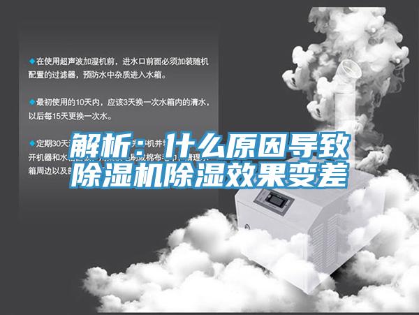 解析：什麽原因導致草莓污视频在线看除濕效果變差