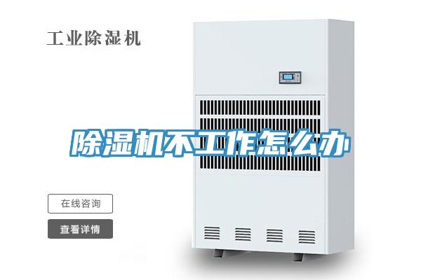 草莓污视频在线看不工作怎麽辦