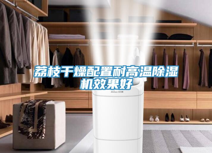 荔枝幹燥配置耐高溫草莓污视频在线看效果好