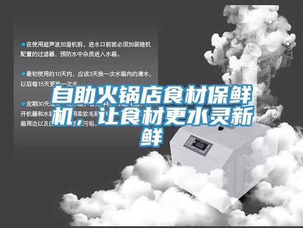 自助火鍋店食材保鮮機，讓食材更水靈新鮮
