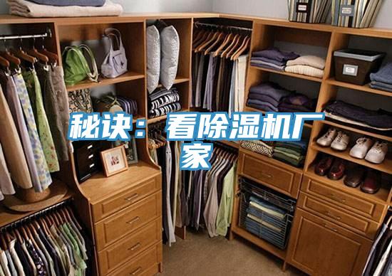 秘訣：看草莓污视频在线看廠家