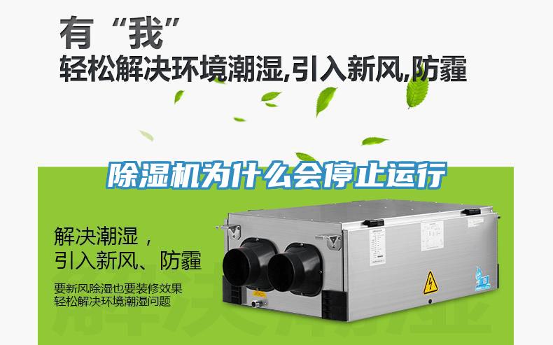 草莓污视频在线看為什麽會停止運行