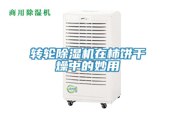轉輪草莓污视频在线看在柿餅幹燥中的妙用
