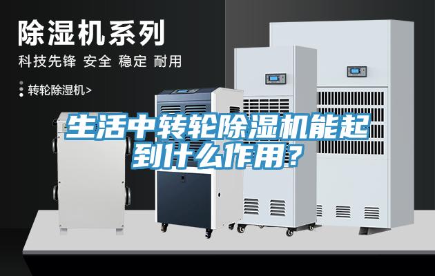 生活中轉輪草莓污视频在线看能起到什麽作用？