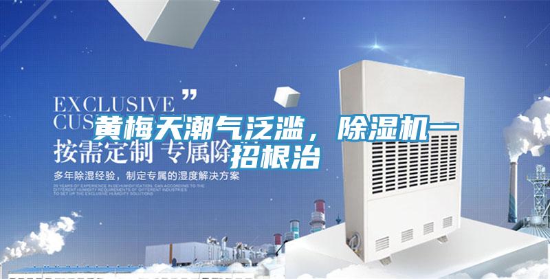 黃梅天潮氣泛濫，草莓污视频在线看一招根治