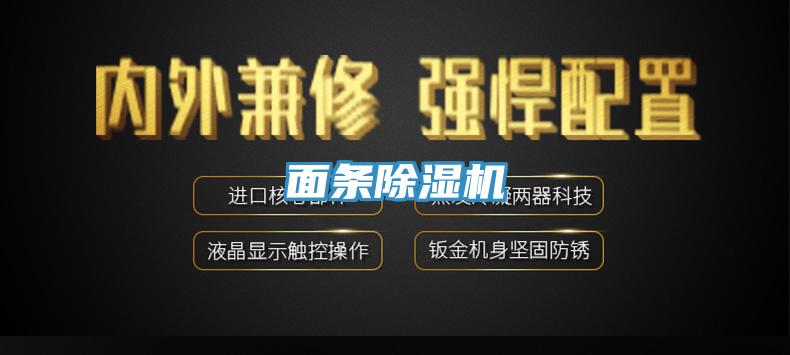 麵條草莓污视频在线看