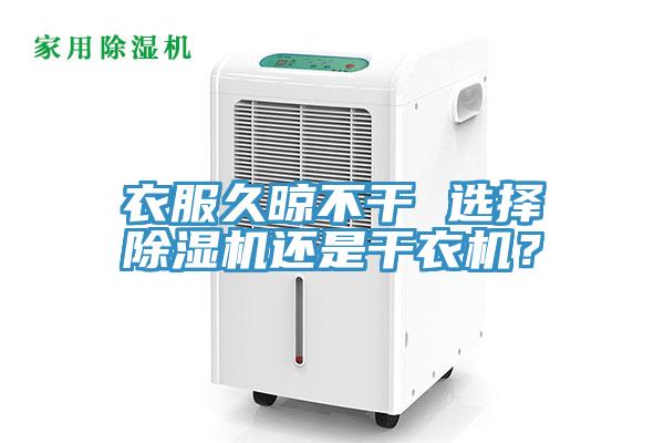 衣服久晾不幹 選擇草莓污视频在线看還是幹衣機？