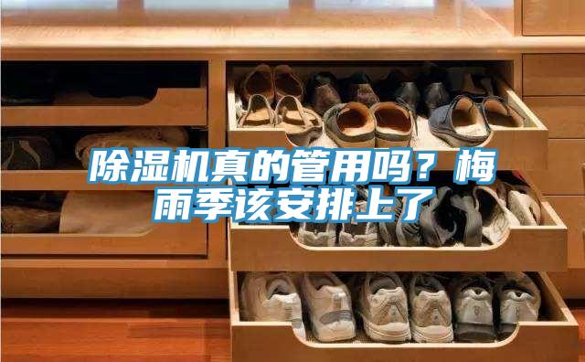 草莓污视频在线看真的管用嗎？梅雨季該安排上了