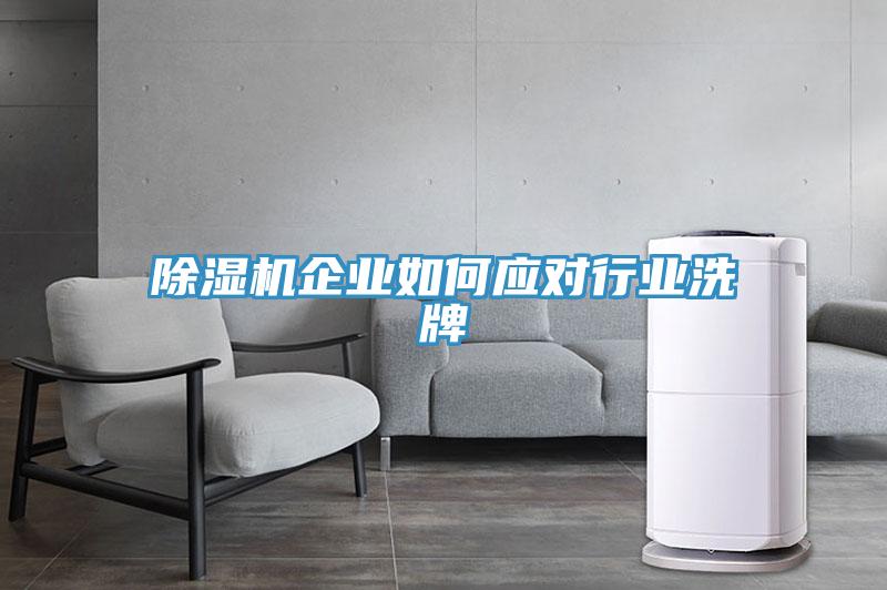 草莓污视频在线看企業如何應對行業洗牌