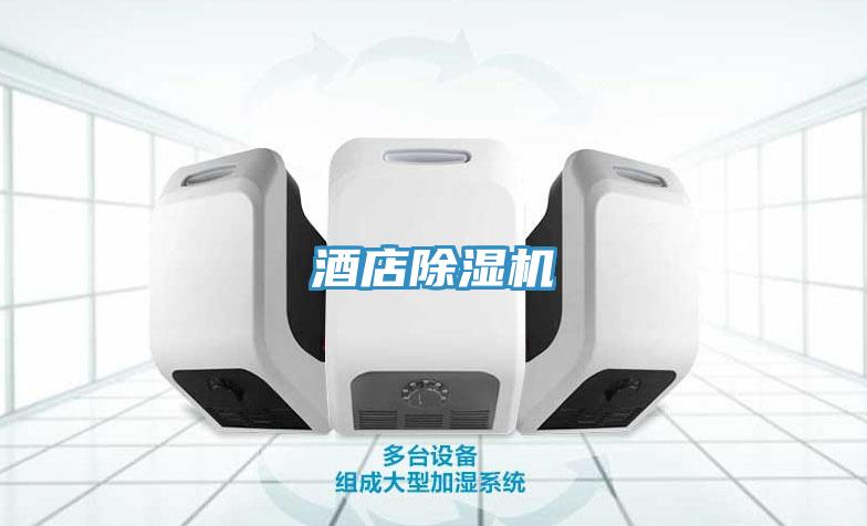 酒店草莓污视频在线看