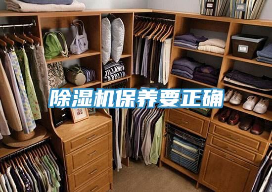 草莓污视频在线看保養要正確
