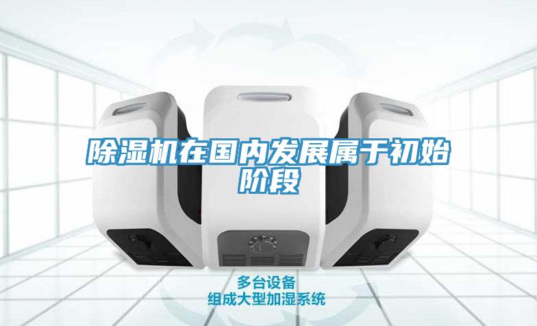 草莓污视频在线看在國內發展屬於初始階段