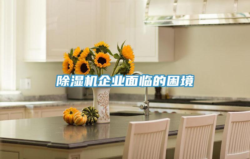 草莓污视频在线看企業麵臨的困境