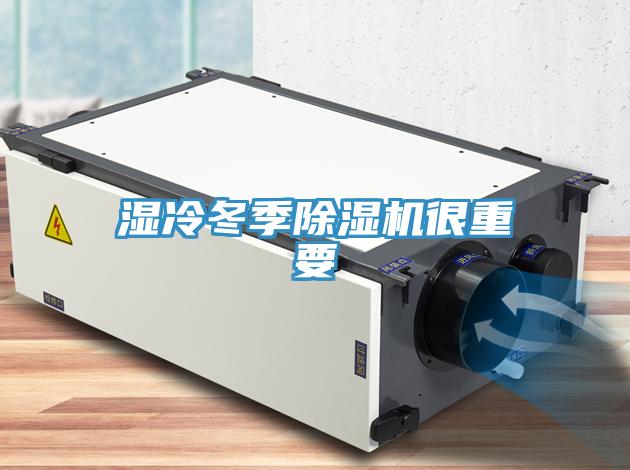 濕冷冬季草莓污视频在线看很重要